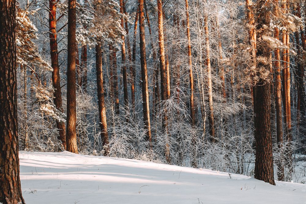 Photograph by Татьяна