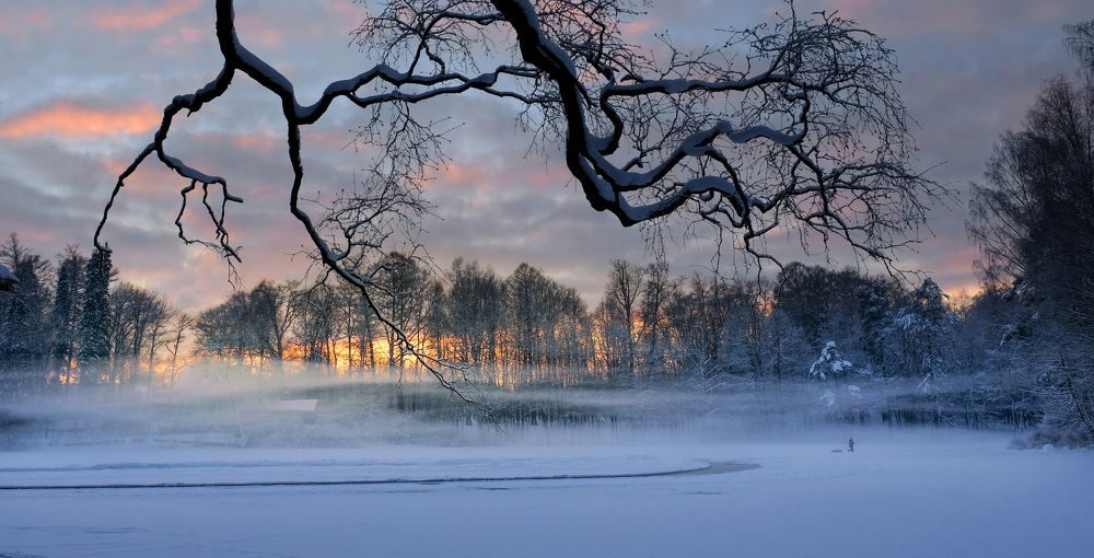 Photograph by Светлана Краюшкина