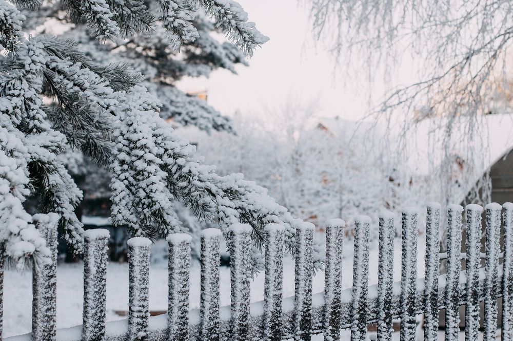 Photograph by Татьяна