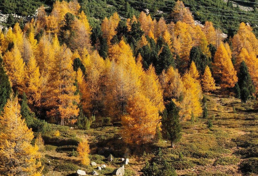 Photograph by Malavika Yoganandhan