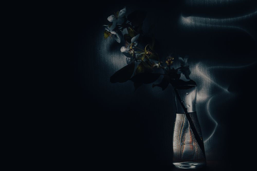 Фотография автора OXANA MARSOVA