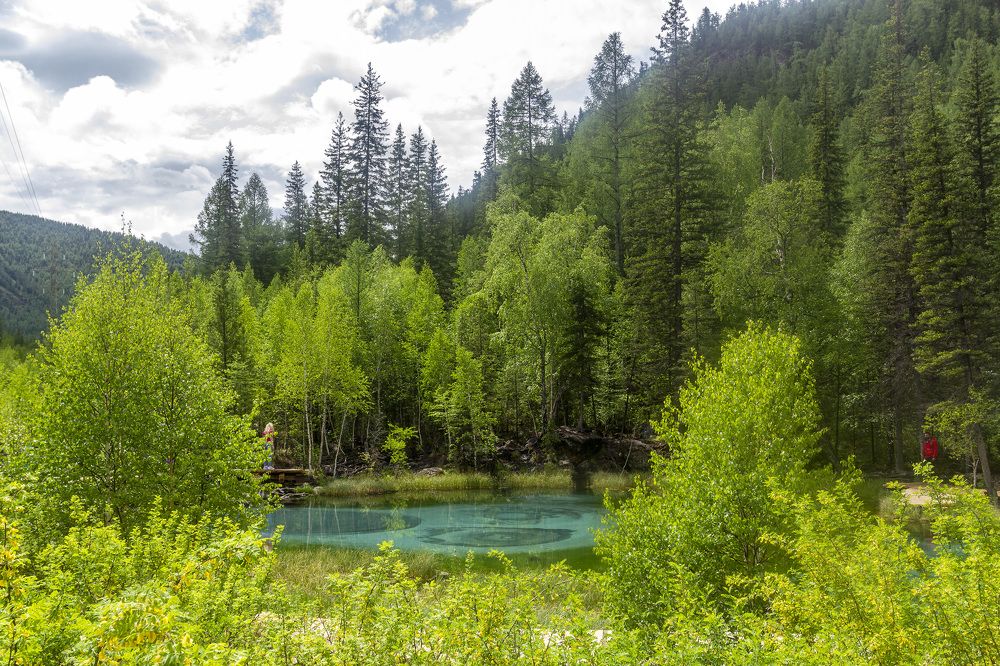 Photograph by Татьяна Раковская