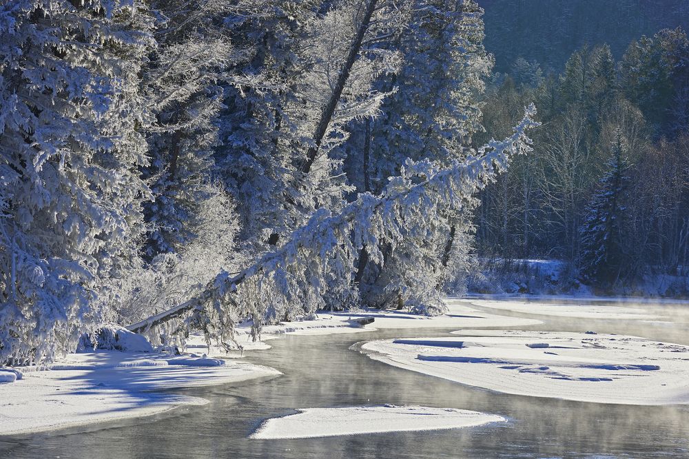 Photograph by Байбородин Михаил