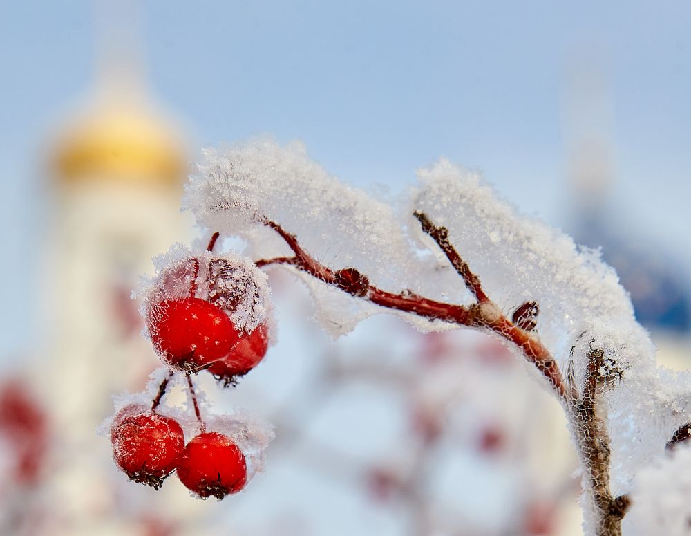 Photograph by Голованов Николай