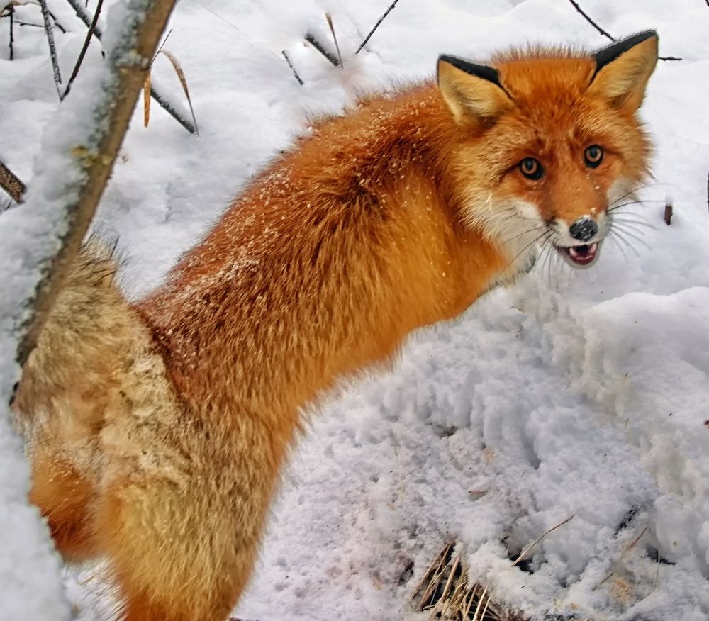 Photograph by Юрий Митенёв