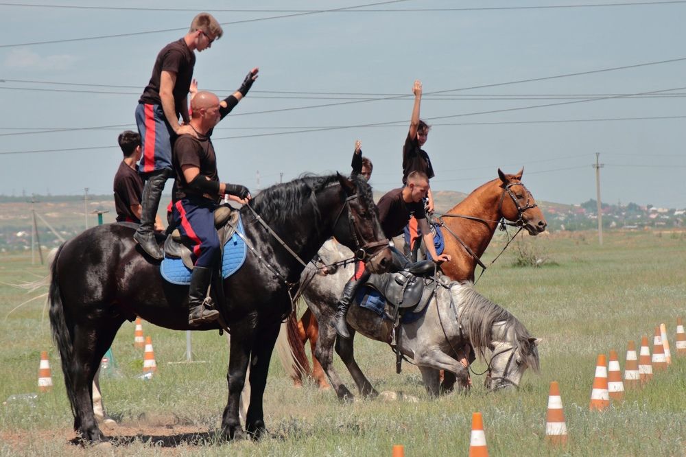 Photograph by Ирина Шибитова