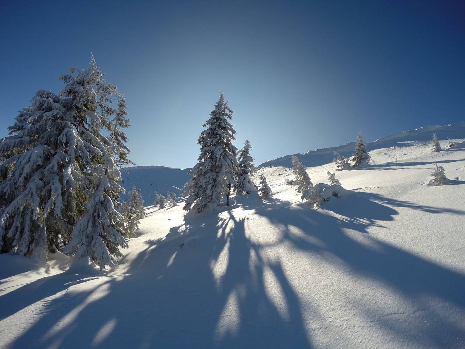 Photo #8486653