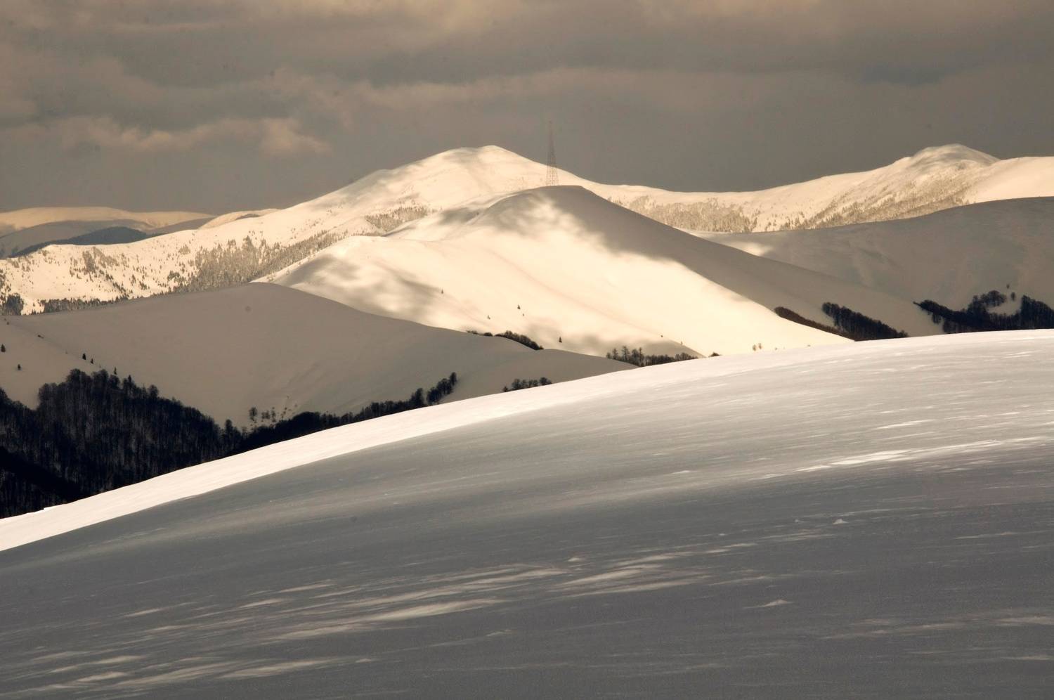 Photo #8486656