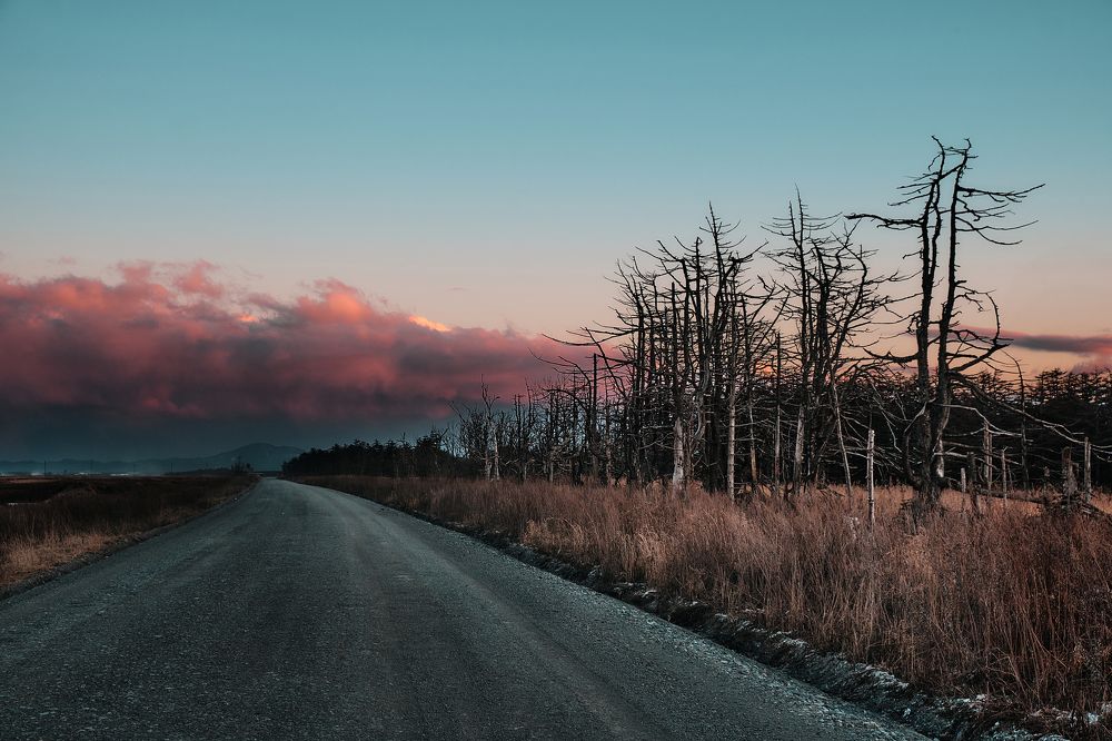 Photograph by Андрей Бельцов