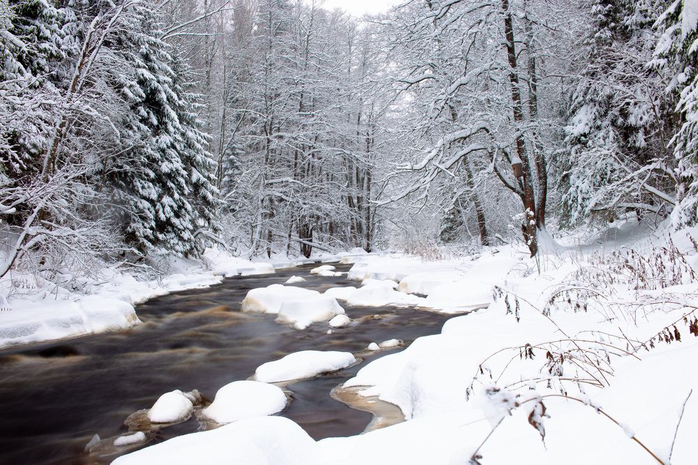 Фотография автора Лукьянов Евгений