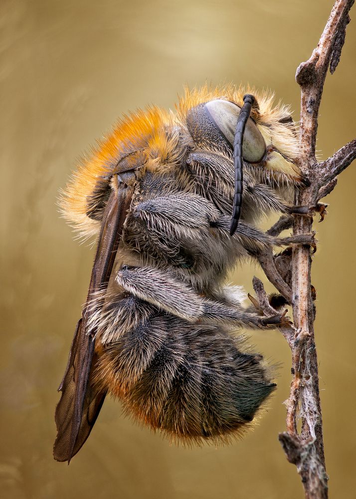 Photograph by Кузнецов Дмитрий