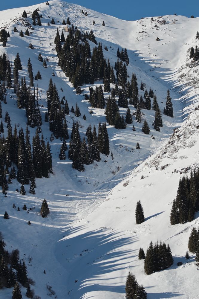 Горный пейзаж