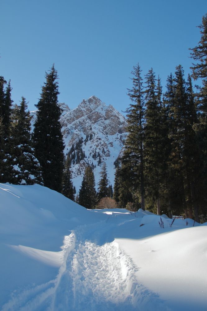 Фотография автора Алексей Дегтярёв