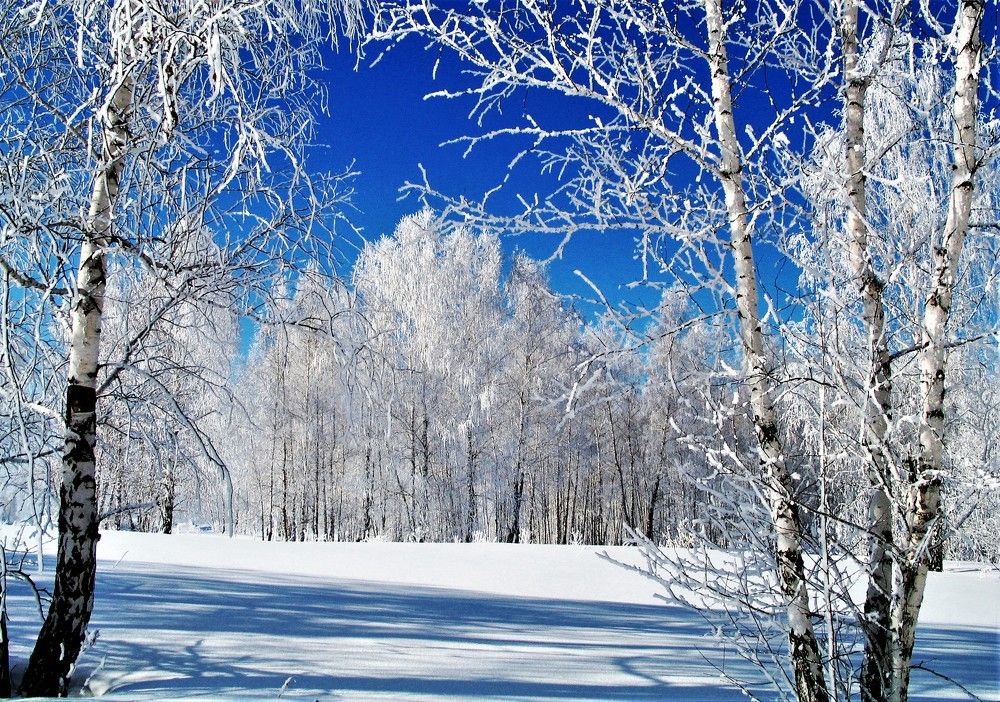 Photograph by Николай Останин