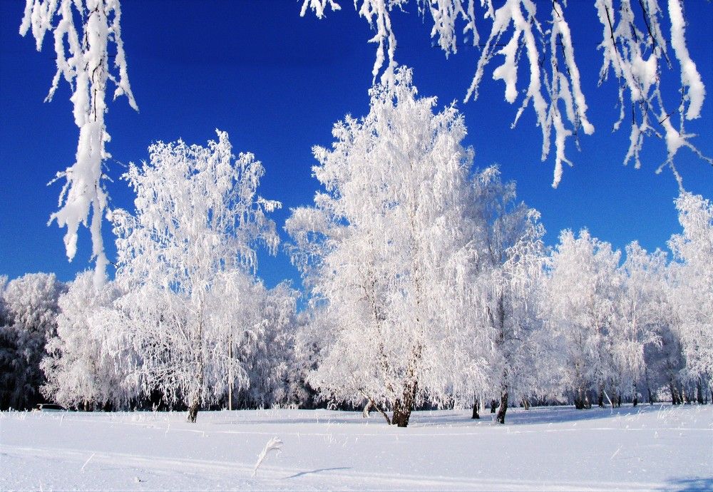 Photograph by Николай Останин