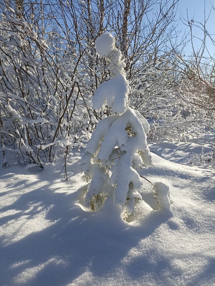 Фотография автора Илья Магасумов