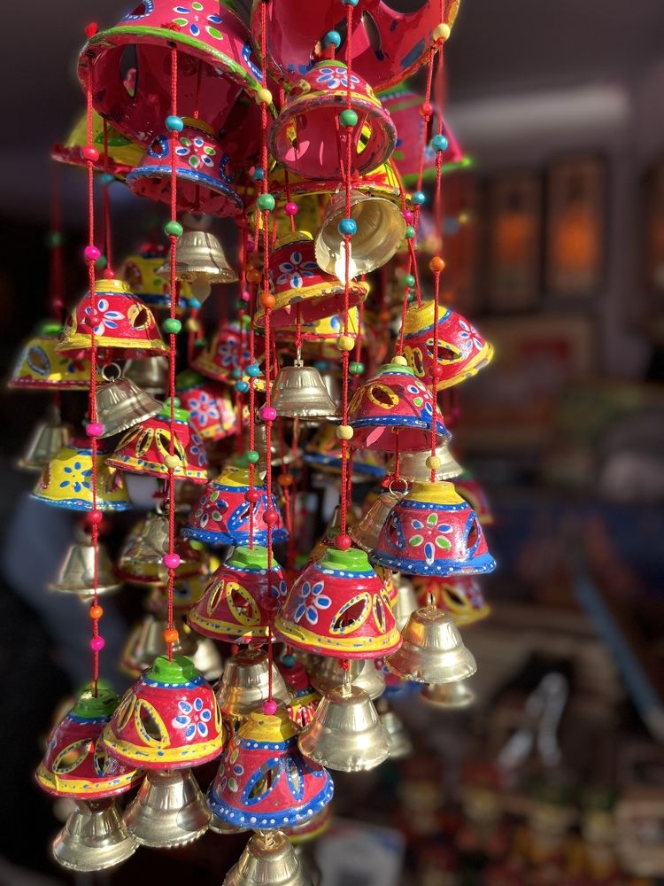 Фотография автора SHREYA SHUKLA