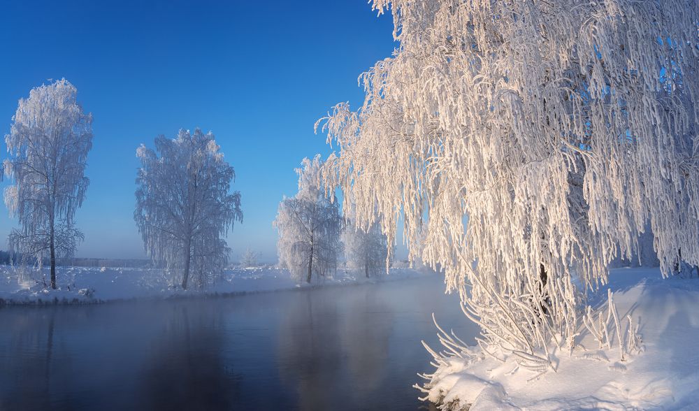 Photograph by Александр Рудный