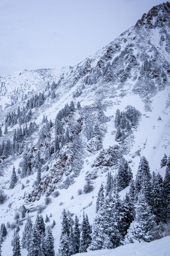 Фотография автора Руслан Токмагамбетов