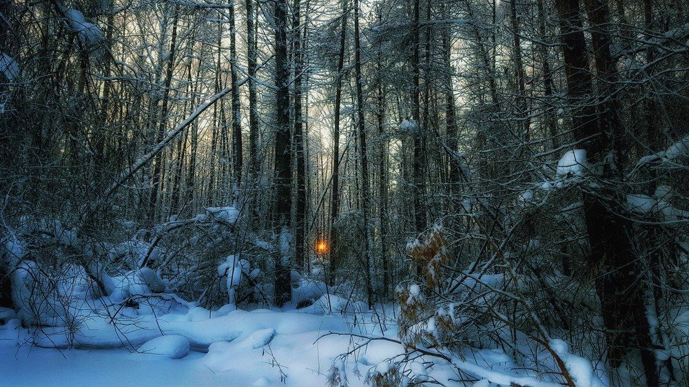 Photograph by Митюшкова Алёна