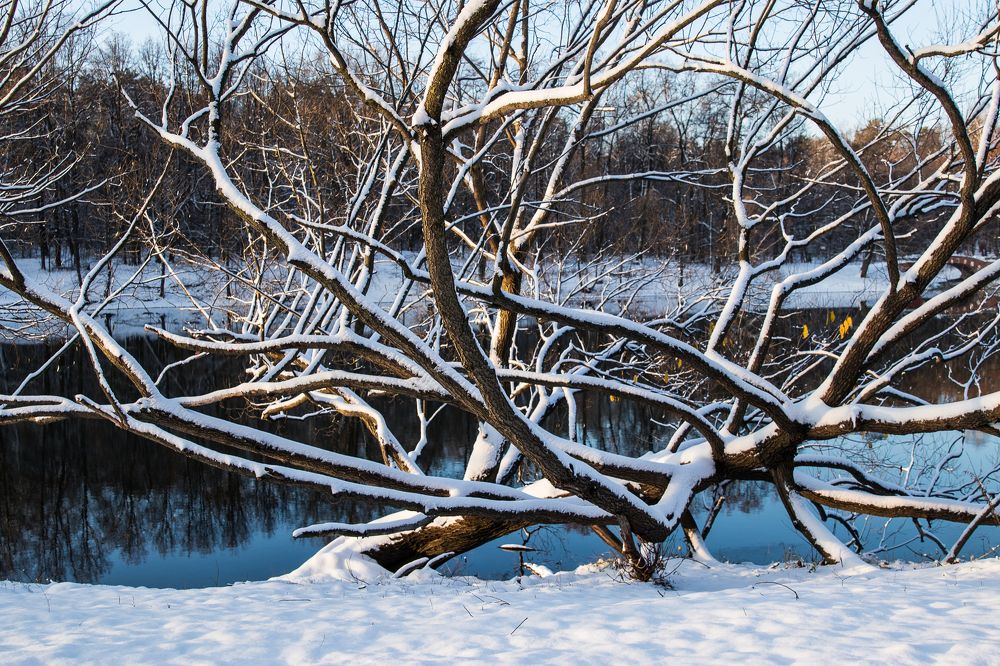 Photograph by Ирина Саломатина