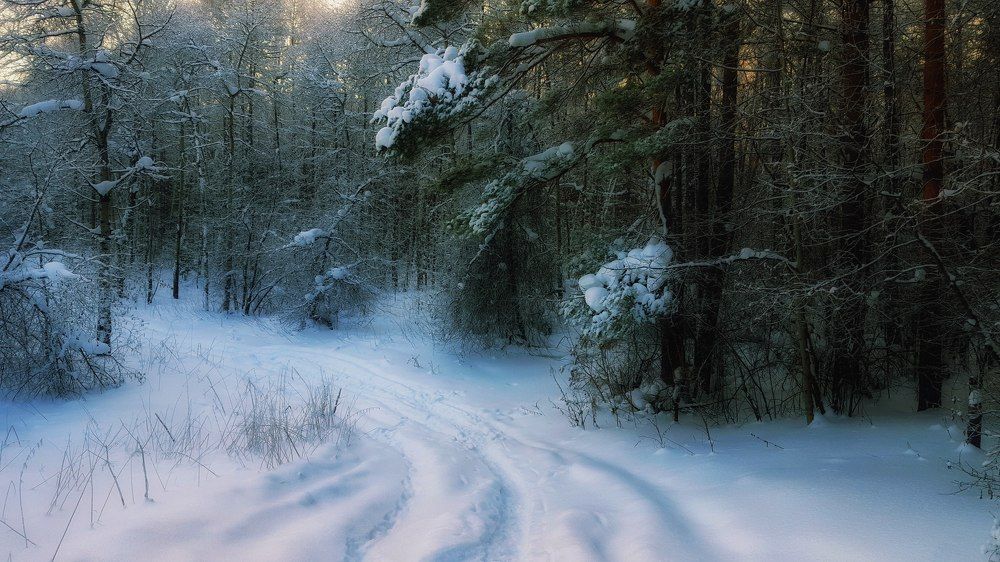 Photograph by Митюшкова Алёна