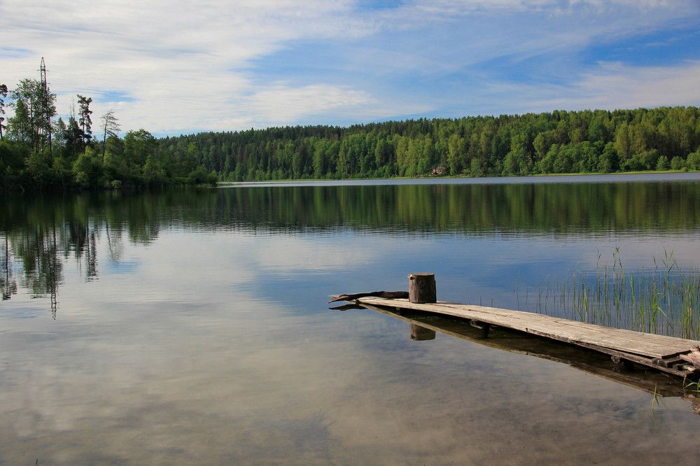 Photograph by Наталья Сапрыкина