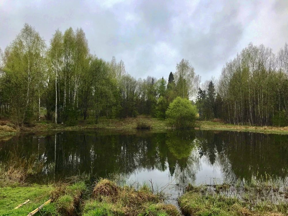 Photograph by Елена Смирнова