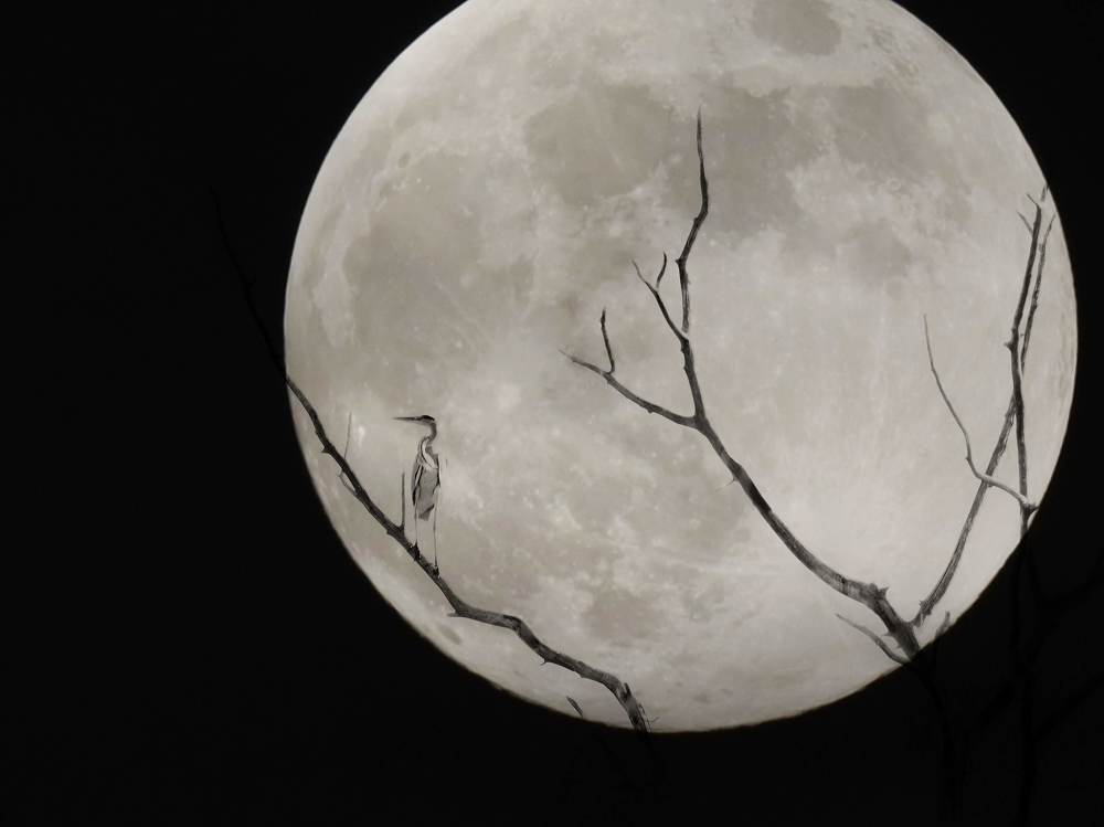 Photograph by Giuseppe Catalano