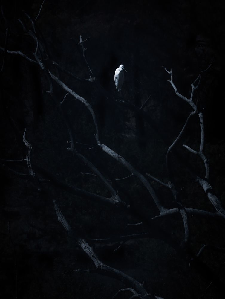 Photograph by Giuseppe Catalano