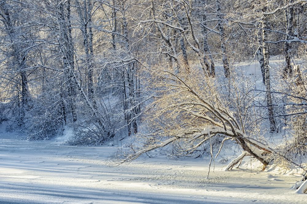 Photograph by Сергей Феофанов