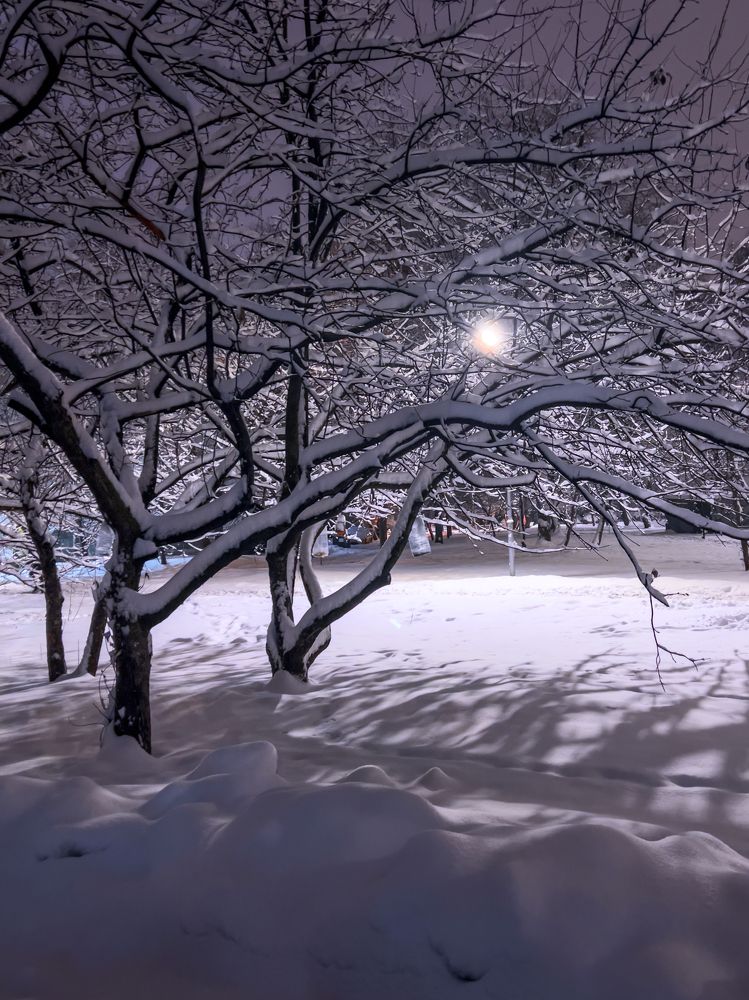 Photograph by T.Ю. Гринько