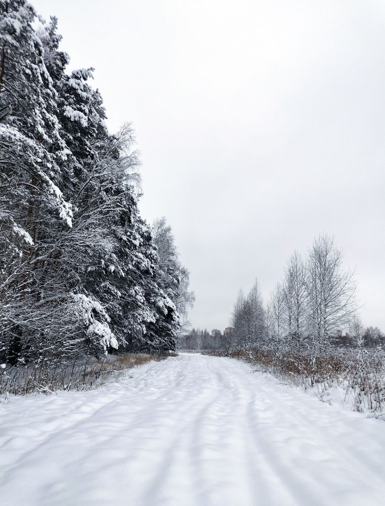 Photograph by Ева Мельникова