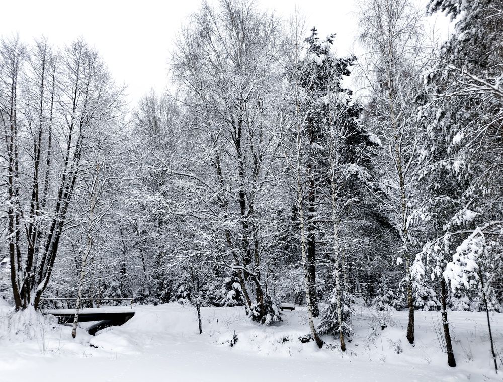 Photograph by Ева Мельникова