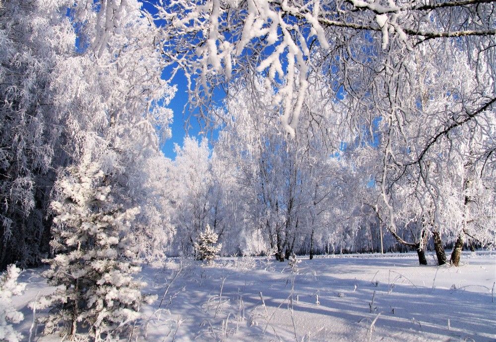 Photograph by Николай Останин