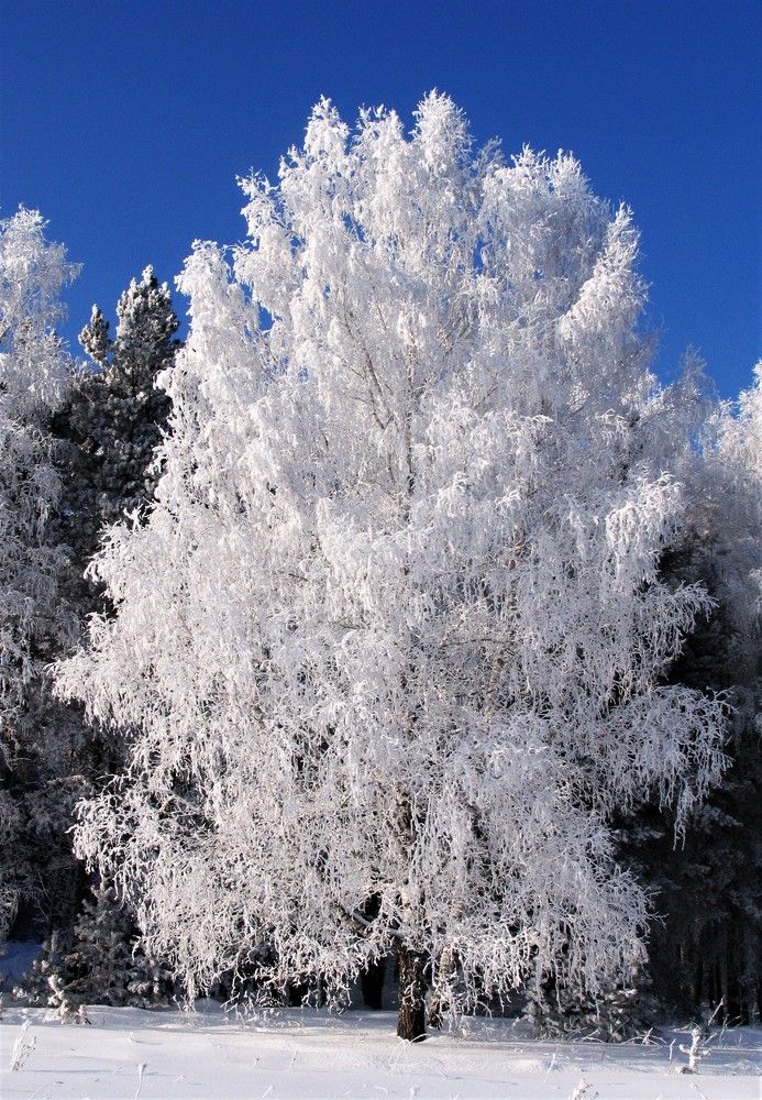 Photograph by Николай Останин