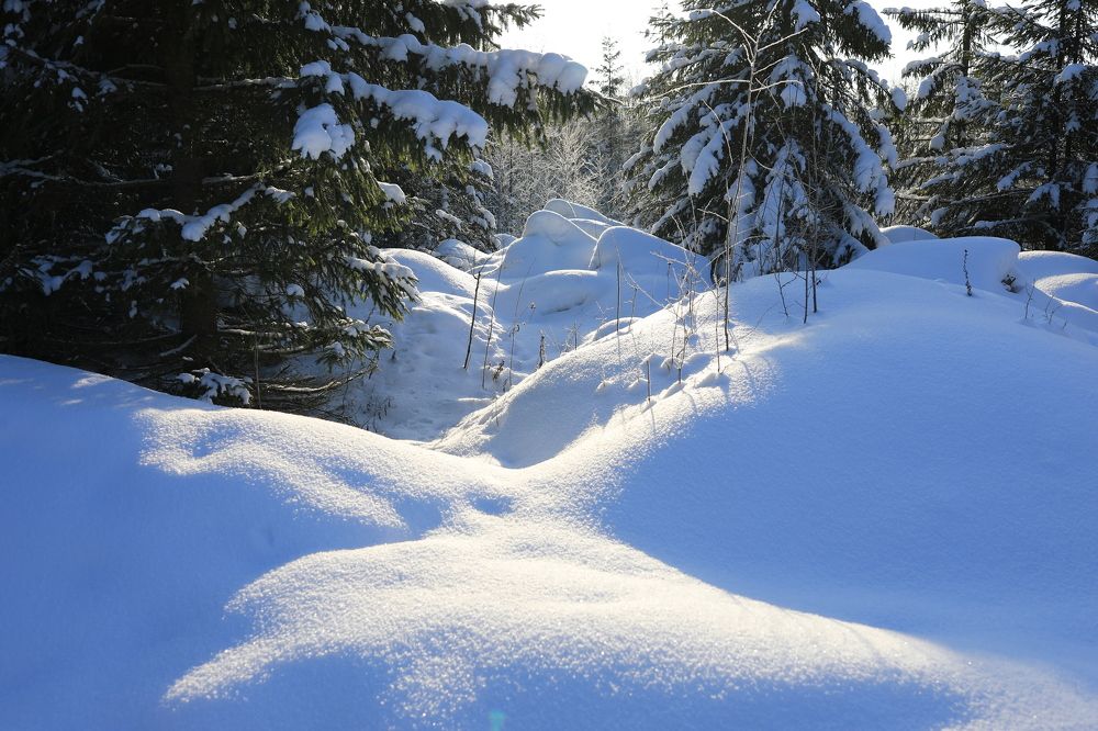 Зимняя сказка