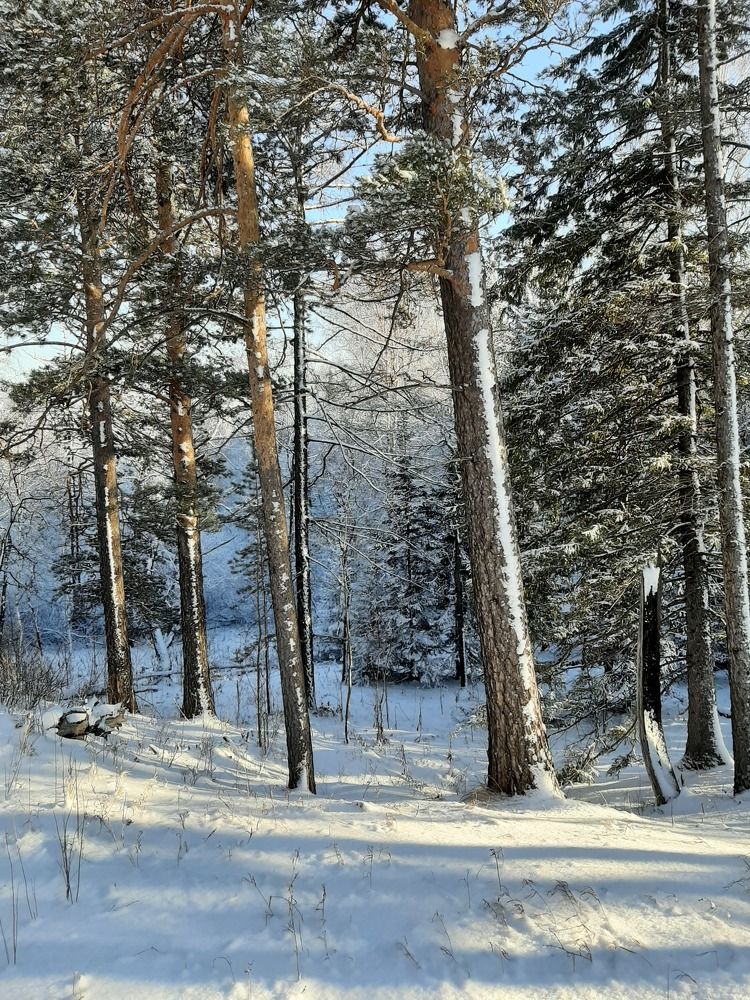 Photograph by Евстигнеев Евгений Васильевич