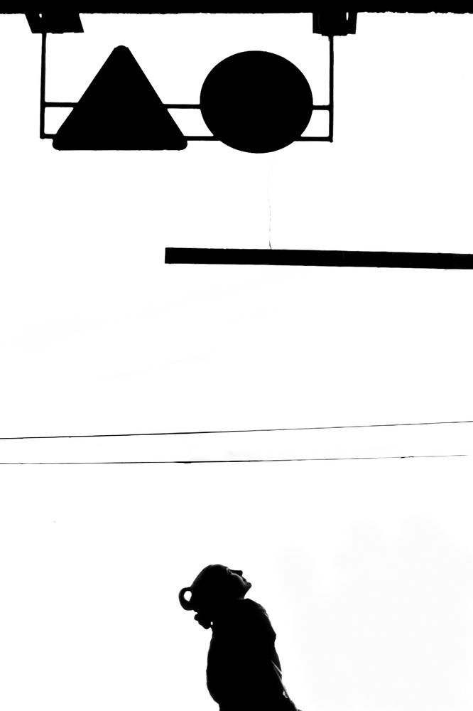 Фотография автора Alla Valevskaya