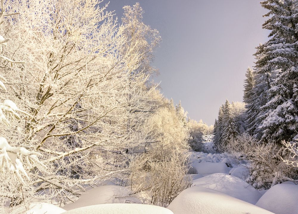 Фотография автора Milena Ivanova