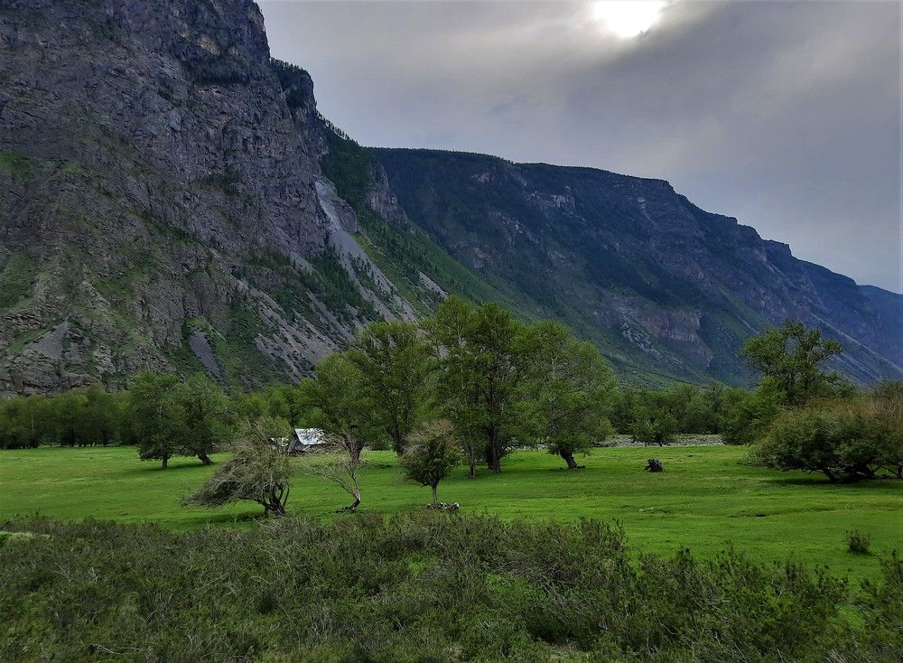 Фотография автора Елена Пикатова