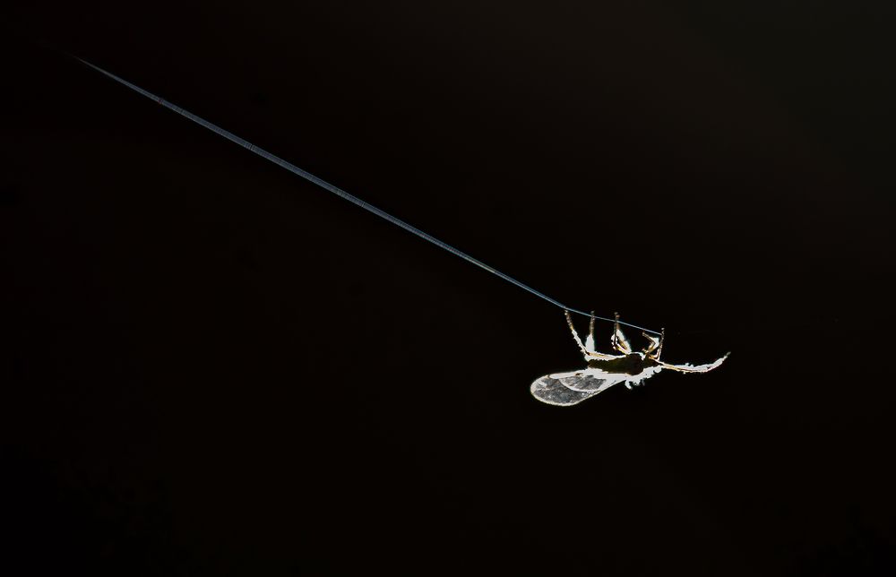 Photograph by Виктор Волынский