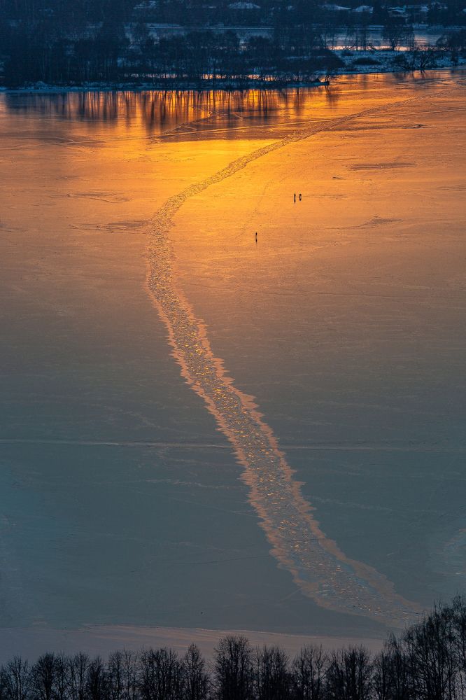 Фотография автора Алексей Звягинцев