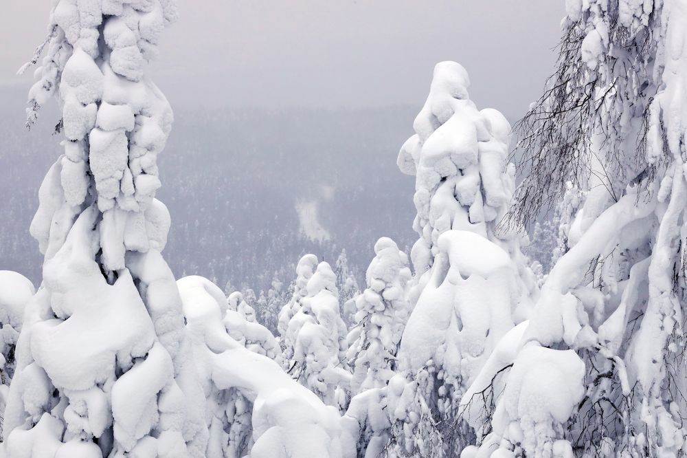 Фотография автора Павел Мартюшев