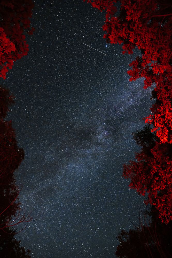 Photograph by Анастасия Мелёхина