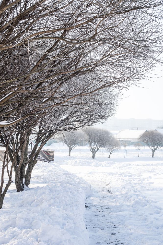 Фотография автора Лукашенко Ольга