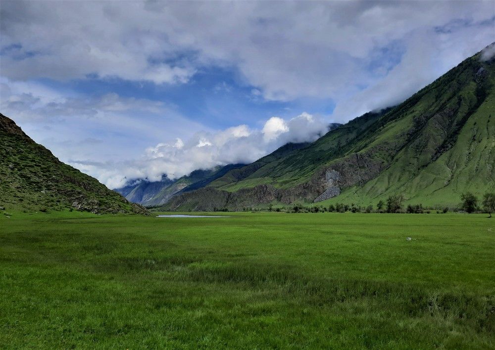 Фотография автора Елена Пикатова