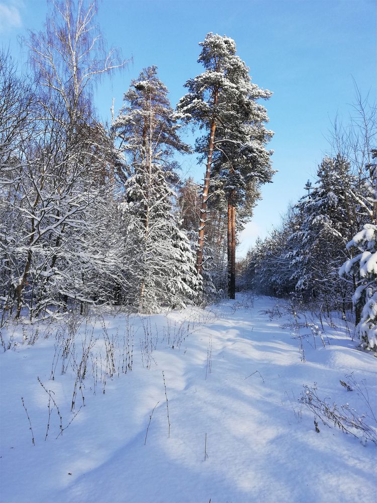 Photograph by Виктор Педан