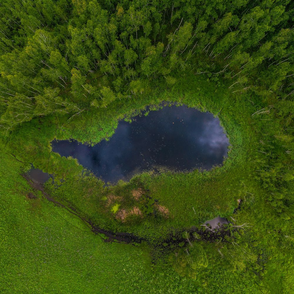 Photograph by Gan-Ulzii Gonchig