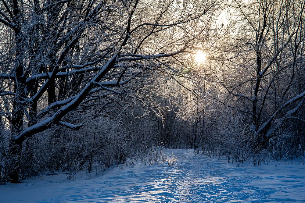 Photograph by Виктор Волынский